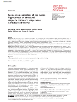 Segmenting Subregions of the Human Hippocampus on Structural