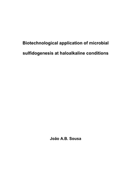 Biotechnological Removal of H2S and Thiols from Sour Gas Streams