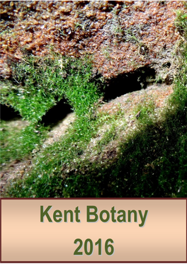 Kent Botany 2016 Continues the Series of Annual Reports of Botanical Developments in Kent