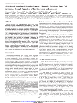 Inhibition of Smoothened Signaling Prevents Ultraviolet B-Induced Basal Cell Carcinomas Through Regulation of Fas Expression and Apoptosis