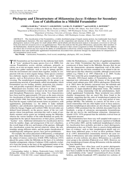 Phylogeny and Ultrastructure of Miliammina Fusca: Evidence for Secondary Loss of Calcification in a Miliolid Foraminifer