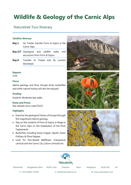 Wildlife & Geology of the Carnic Alps