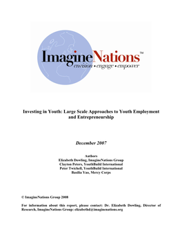 Investing in Youth: Large Scale Approaches to Youth Employment and Entrepreneurship
