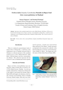 Norileca Indica (Isopoda, Cymothoidae) Parasitic on Bigeye Scad Selar Crumenophthalmus in Thailand