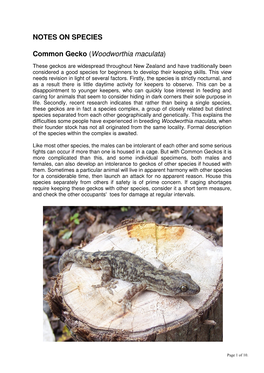 NOTES on SPECIES Common Gecko (Woodworthia Maculata)