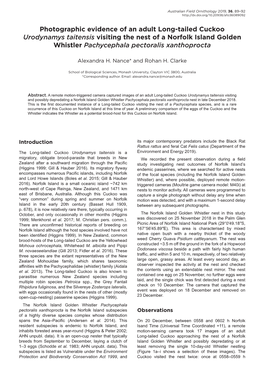 Photographic Evidence of an Adult Long-Tailed Cuckoo Urodynamys Taitensis Visiting the Nest of a Norfolk Island Golden Whistler Pachycephala Pectoralis Xanthoprocta