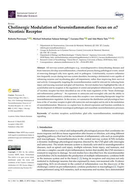 Cholinergic Modulation of Neuroinflammation: Focus on 7