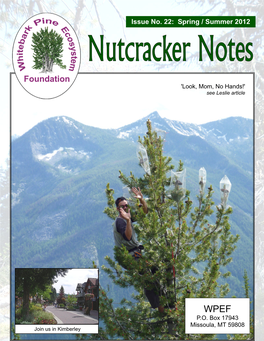 Nutcracker Notes, Issue No