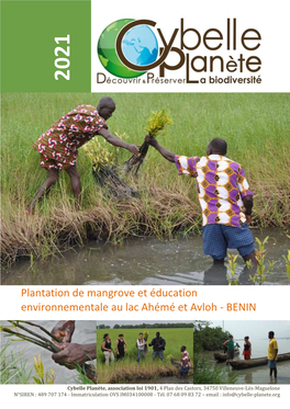 Plantation De Mangrove Et Éducation Environnementale Au Lac Ahémé Et Avloh - BENIN