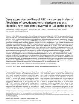 Gene Expression Profiling of ABC Transporters in Dermal Fibroblasts Of