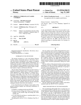 (12) United States Plant Patent (10) Patent No.: US PP20,298 P2 Mooney (45) Date of Patent: Sep