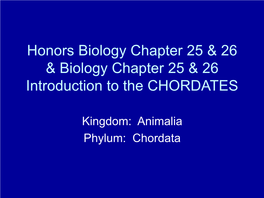 Introduction to the CHORDATES