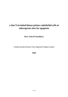 C-Jun N-Terminal Kinase Primes Endothelial Cells at Atheroprone Sites for Apoptosis