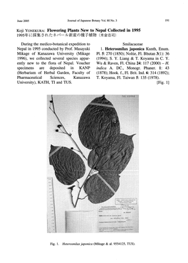 Page 1 June 2005 Journal of Japanese Botany Vol. 80 No. 3 191