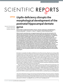 Usp9x-Deficiency Disrupts the Morphological Development of The