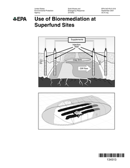 Bioremediation Draft Report