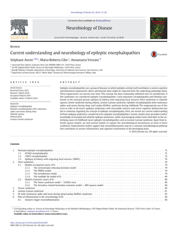 Current Understanding and Neurobiology of Epileptic Encephalopathies