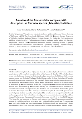 A Review of the Eviota Zebrina Complex, with Descriptions of Four New Species (Teleostei, Gobiidae)