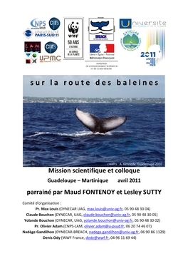 Sur La Route Des Baleines