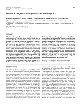 Defects of Urogenital Development in Mice Lacking Emx2