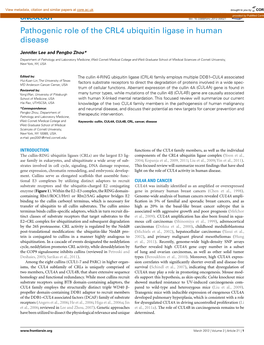 Pathogenic Role of the CRL4 Ubiquitin Ligase in Human Disease