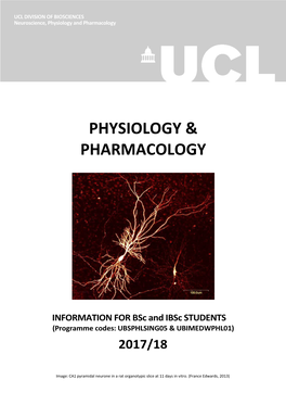 Physiology & Pharmacology