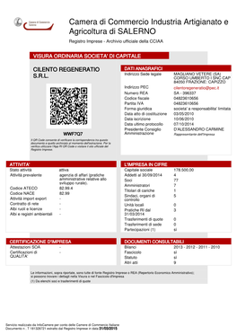 Camera Di Commercio Industria Artigianato E Agricoltura Di SALERNO Registro Imprese - Archivio Ufficiale Della CCIAA