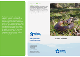 Alpine Snakes Are Protected, and Represent a Healthy Environment and Balanced Ecosystem