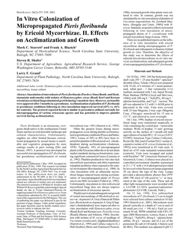 In Vitro Colonization of Micropropagated Pieris Floribunda