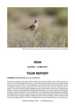Iran Tour Report