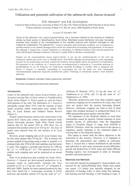 Utilization and Potential Cultivation of the Saltmarsh Rush Juncus Kraussii