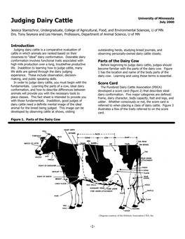 Judging Dairy Cattle July 2000