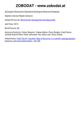 Southern Alps of Slovenia in a Nutshell: Paleogeography, Tectonics, and Active Deformation