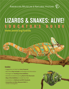 Lizards & Snakes