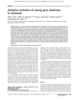 Adaptive Evolution of Young Gene Duplicates in Mammals