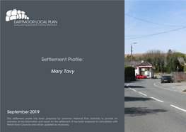 Mary Tavy Settlement Profile