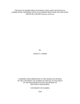 University of Florida Thesis Or Dissertation Formatting