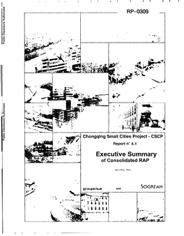 Executive Summary of Consolidated RAP Report