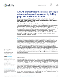 AKAP6 Orchestrates the Nuclear Envelope Microtubule-Organizing