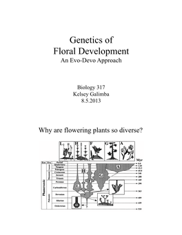 Galimba Guest Biol