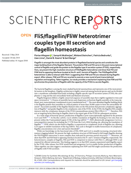 Flis/Flagellin/Fliw Heterotrimer Couples Type III Secretion and Flagellin