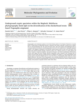 Underground Cryptic Speciation Within the Maghreb Multilocus