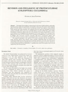 Revision and Phylogeny of Protocucujidae (Coleoptera: Cucujoidea)