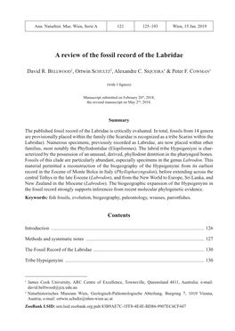 A Review of the Fossil Record of the Labridae