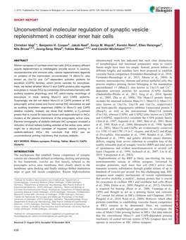 Unconventional Molecular Regulation of Synaptic Vesicle Replenishment In