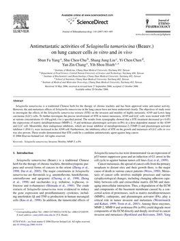 Antimetastatic Activities of Selaginella Tamariscina (Beauv.) on Lung Cancer Cells in Vitro and in Vivo