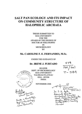 Salt Pan Ecology and Its Impact on Community Structure of Halophilic Archaea