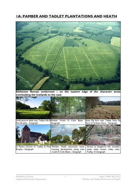 Pamber and Tadley Plantations and Heath