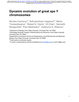 Dynamic Evolution of Great Ape Y Chromosomes