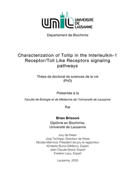 Characterization of Tollip in the Interleulkin-1 Receptor/Toll Like Receptors Signaling Pathways